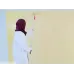 طلاء الجدران بدِهان (نوفل)