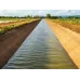بروفكس (لايشمل البودرة)